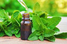 4 Jenis Daun Mint dan Bedanya, Bukan Cuma Peppermint