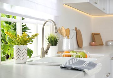 7 Tanaman Hias yang Tumbuh Subur di Dapur
