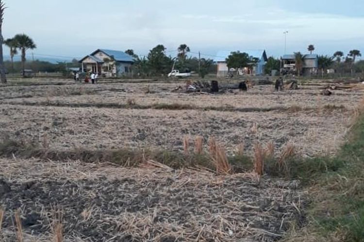 Petani mengalami gagal panen akibat terjangan banjir.