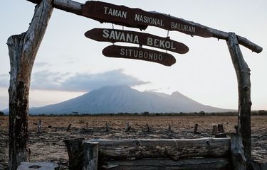 Desa Wisata Kebangsaan Wonorejo, Tawarkan Aktivitas di TN Baluran ...