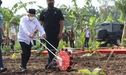 Wapres Ma'ruf Ajak Masyarakat Jabar Manfaatkan Lahan Terbuka dengan Konsep Integrated Farming