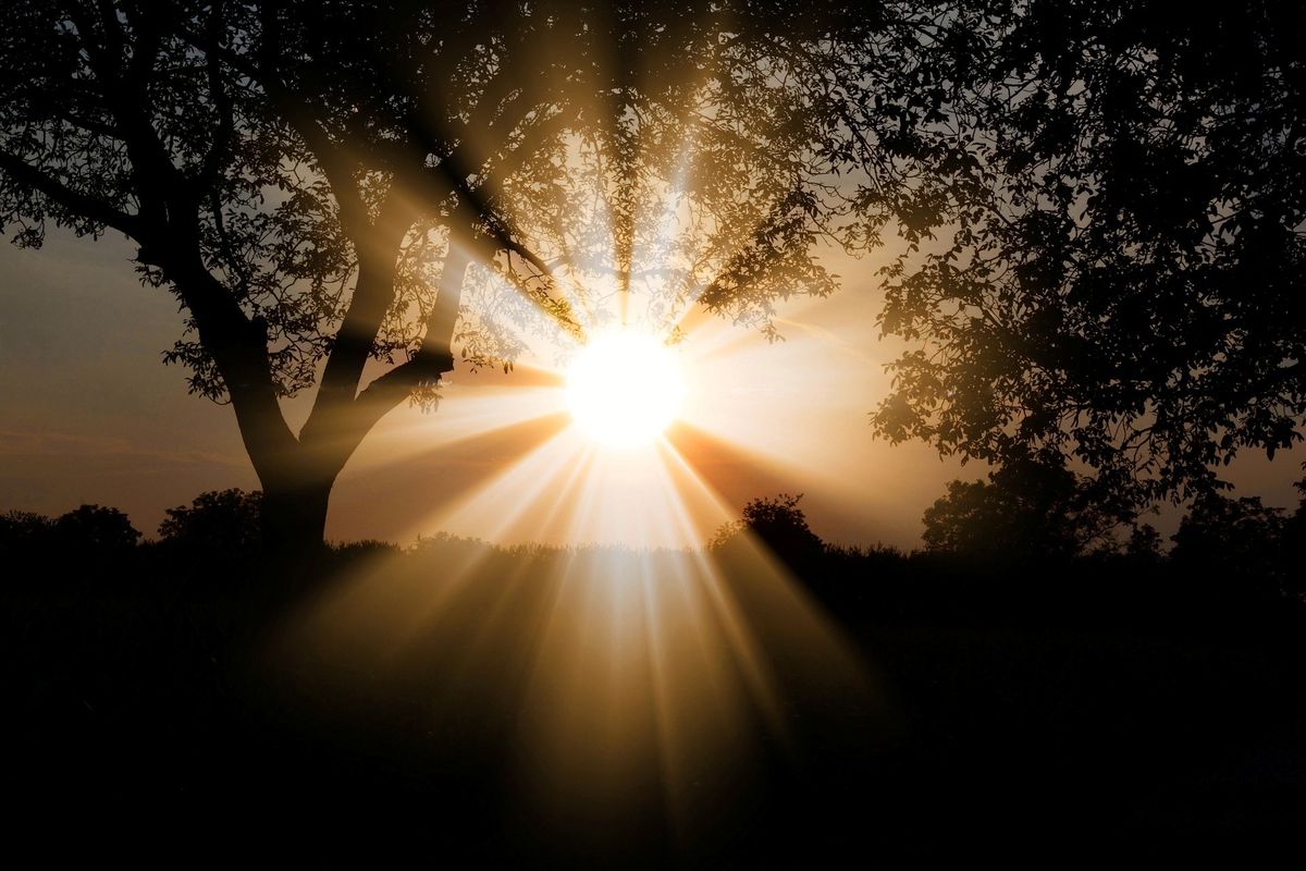 Cahaya matahari yang penting bagi ekosistem