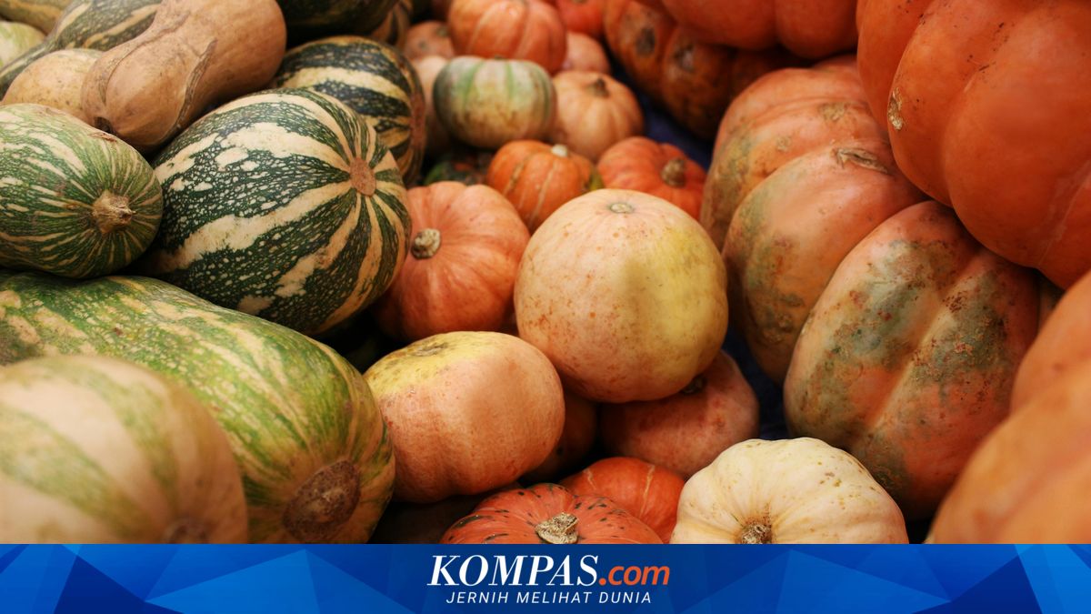 Buah Labu untuk Obat Apa? Berikut 10 Daftarnya…