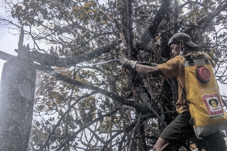Kisah Relawan Padamkan Kebakaran Gunung Gede: 6 Hari Menembus Tebing Terjal Bawa Air dan Logistik