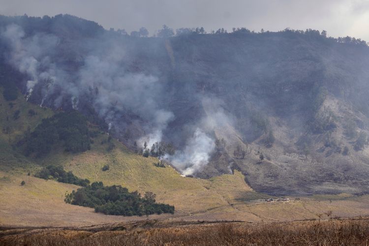Kondisi padang savana yang terbakar di Kawasan Taman Nasional Bromo Tengger Semeru (TNBTS), Malang, Jawa Timur, Rabu (30/8/2023). Balai Besar Taman Nasional Bromo Tengger Semeru (BB TNBTS) mengerahkan tim gabungan dibantu masyarakat untuk memadamkan kebakaran yang terjadi sejak Selasa (29/8) dan hingga saat ini penyebab kebakaran masih dalam proses penyelidikan.