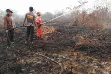 Tujuh Perusahaan Modal Asing Ditetapkan Tersangka Kebakaran Hutan