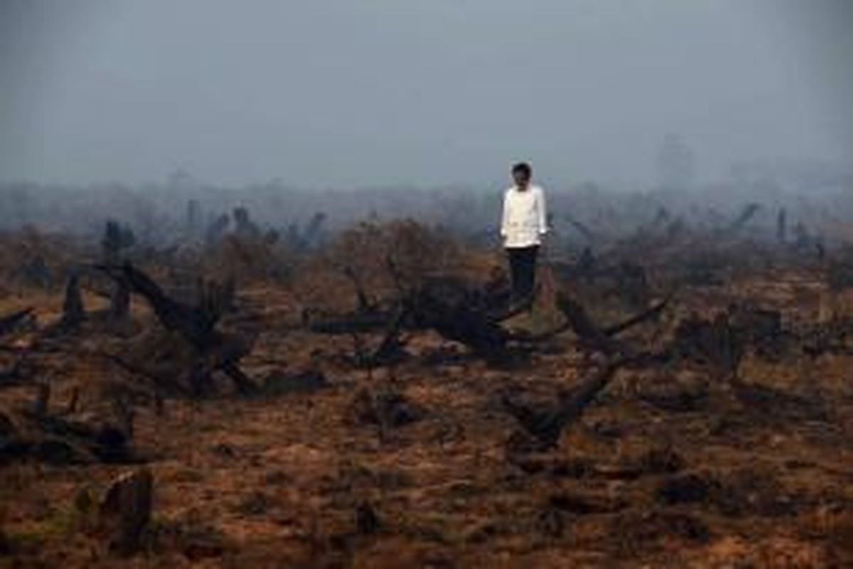 Presiden Joko Widodo berada di tengah area hutan gambut yang rusak dan hangus saat melakukan inspeksi kebakaran hutan di Banjarbaru, Kalimantan Selatan, 23 September 2015.