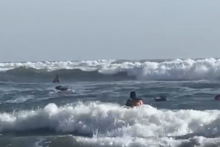 ILUSTRASI: Penyelamatan wisatawan yang nekat berenang hingga ke tengah laut di Pantai Parangtritis.