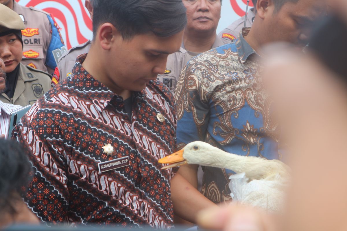 ASN Pemkot Medan menerima hadiah titipan berupa bebek dari mahasiswa GMNI Medan, Kamis (22/8/2024). Hadiah itu diberikan mahasiswa GMNI Medan, sebagai bentuk sindiran ke Walikota Medan, Bobby Nasution yang dinilai gagal menjalankan beberapa programnya.