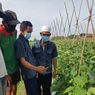 Dukung Target RI Jadi Lumbung Pangan Dunia, 11.500 Petani Dilatih Tingkatkan Produksi dan Digitalisasi