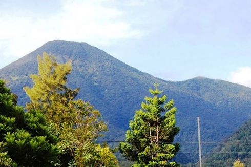 Pendakian Gunung Gede Pangrango Tutup hingga 9 Mei