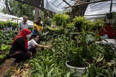 Festival Flora dan Fauna 2022 Jakarta, Liburan Sambil Lihat Tanaman