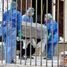 Setelah 19 Hari Kerja Menteri Kesehatan Ekuador Mundur di Tengah Skandal Vaksin Covid-19