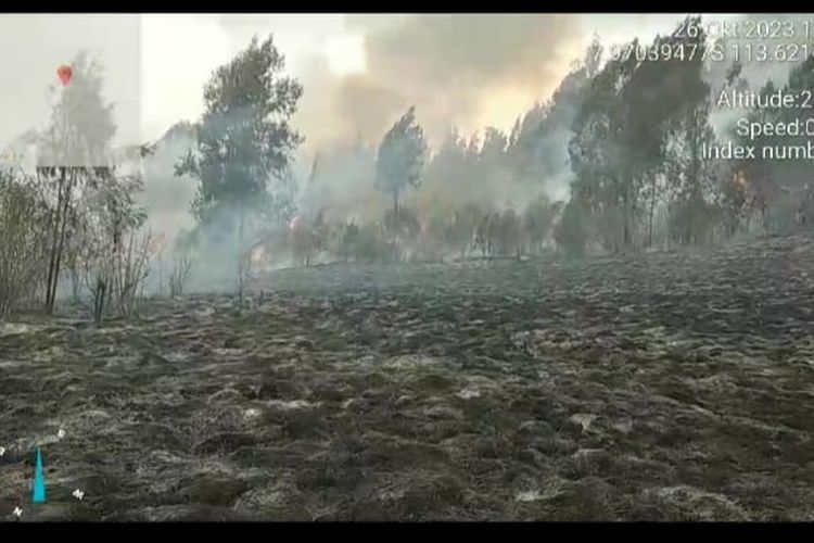 Karhutla di Gunung Argopuro Provinsi Jawa Timur masih berlangsung dan pendakian belum dibuka pada Selasa (31/10/2023).