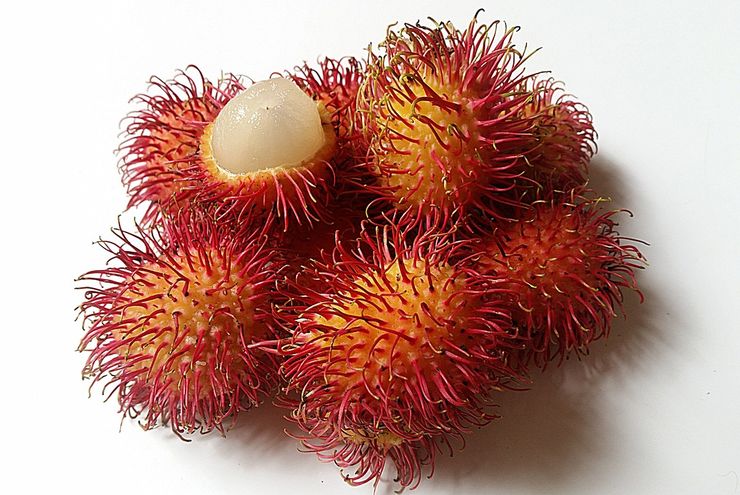 Apakah Buah Rambutan Mengandung Gula Tinggi? Berikut Penjelasannya…