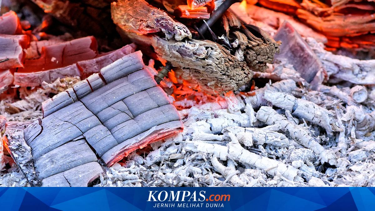 Amankah Memanfaatkan Abu Bakaran Kayu untuk Tanaman?