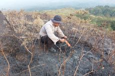 Kebakaran Gunung Arjuno Padam, Jalur Pendakian Masih Tutup, Wisata Air Panas Dibuka