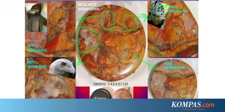 Batu Akik Bermotif Kepala Banteng Dan Burung Elang Juarai Kontes