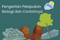 Pengertian Pelapukan Biologi dan Contohnya