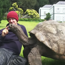 Kisah Jonathan, Kura-kura Tertua di Dunia