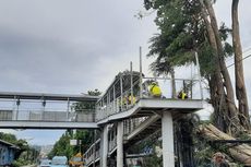 Dua Hari Usai Tertimpa Pohon Tumbang, JPO Gelanggang Remaja di Jatinegara Belum Bisa Dilalui