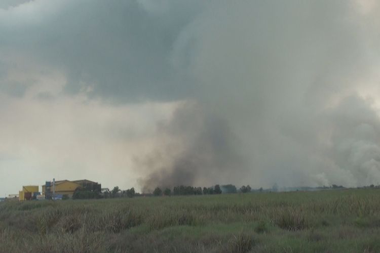 Asap tebal terlihat membumbung tinggi dari lahan yang terbakar di dekat lokasi PT GON tak jauh dari jalintim Palembang-Ogan Ilir