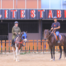6 Aktivitas di Elite Park Serang, Bisa Beri Makan Satwa dan Naik Kuda