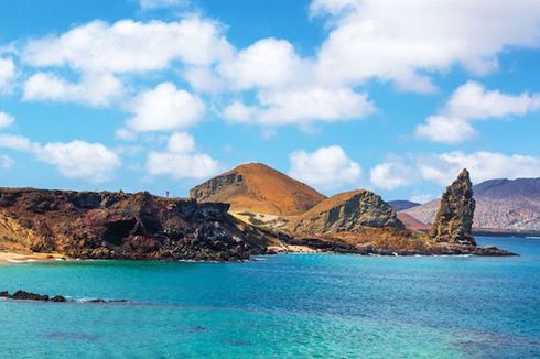 Ekuador Awasi 260 Kapal Penangkap Ikan China di Dekat Perairan Galapagos