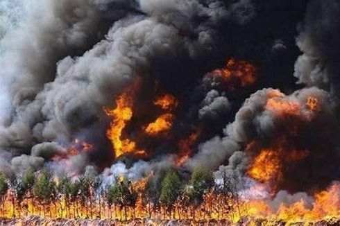 Kebakaran Hutan di China, Sudah 24 Orang Tewas