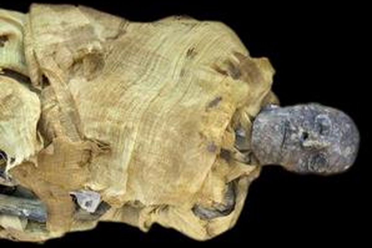 Satu dari tiga mumi yang dibawa dari Lembah Raja-raja ke Museum Mesir di Kairo untuk dites DNA.