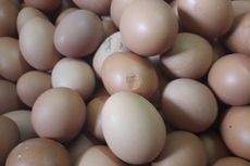 Harga Telur Tinggi, Telur Retak Pun Dicari