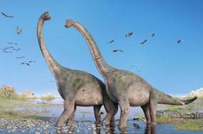 Bisakah Evolusi Menghadirkan Kembali Dinosaurus?