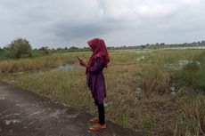 Cerita Perjuangan Guru di Jambi, Demi Mengajar Daring Harus Mendaki Bukit, Masuk Hutan, hingga Berdiri di Sawah