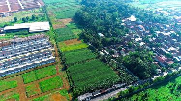 Udara Bersih Berpotensi Tingkatkan Produksi Pangan Global