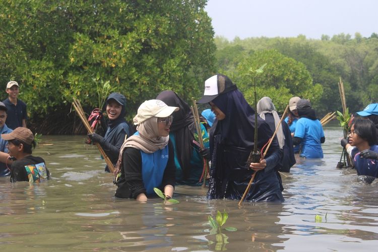 Komitmen pada Pembangunan Berkelanjutan, Universitas Pertamina Tembus Times Higher Education Impact Rankings