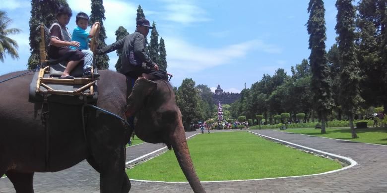 Wisatawan sedang naik gajah di komplek Taman Wisata Candi Borobudur, Magelang, Jawa Tengah.