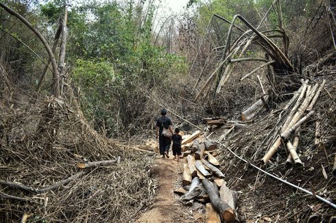 Hutan Larangan, Kampung Adat Cireundeu, dan Ancaman Pembangunan