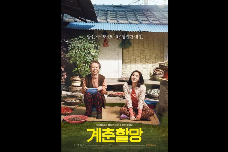 Youn Yuh Jung dan Kim Go Eun dalam film drama Canola (2016).