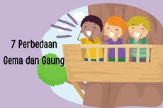 7 Perbedaan Gema dan Gaung