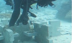 Lindungi Bambu Laut dengan Teknologi Wahana Restorasi, Peneliti Kementerian KP Ini Raih Satyalancana