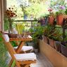 8 Tanaman Hias Terbaik untuk Balkon, Bambu hingga Geranium