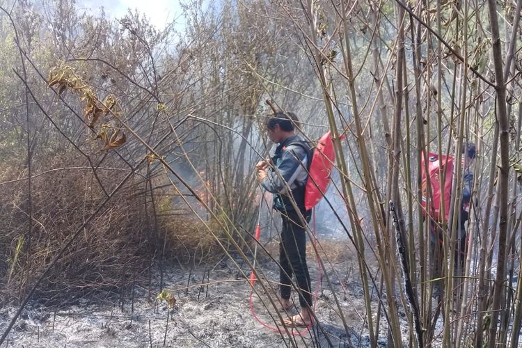 Sejumlah personel tim gabungan saat berusaha memadamkan api di Gunung Semeru.