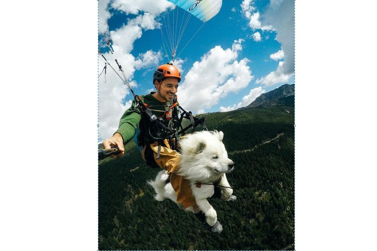 Ouka, anjing yang lihai paragliding