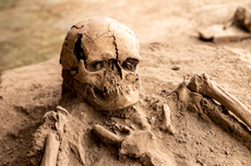 Kehidupan Homo erectus Terungkap dari Dasar Selat Madura