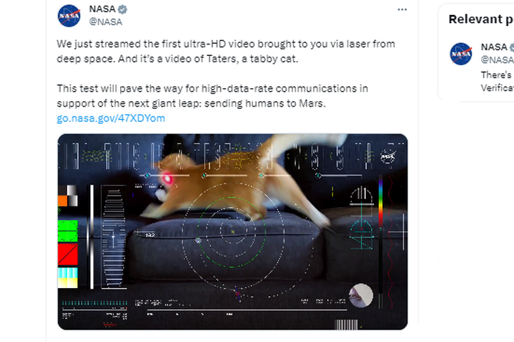 Video kucing bernama Taters berdurasi 15 detik yang dikirim NASA dari jarak 31 juta kilometer dari Bumi menandai tonggak sejarah teknologi manusia di antariksa.