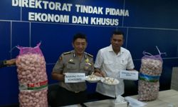 Antisipasi Benih Palsu, Kementan Dampingi Importir Bawang Putih