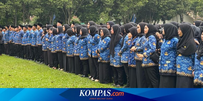 Berapa Gaji PPPK Paruh Waktu 2025? Ini Ketentuan dan Masa Kontraknya