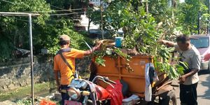 Tim Oren, sebuah unit taktis inovasi Camat Semarang Tengah Aniceto Magno Da Silva yang menjadi solusi nyata dalam menangani tumpukan sampah liar di jalan-jalan protokol.

