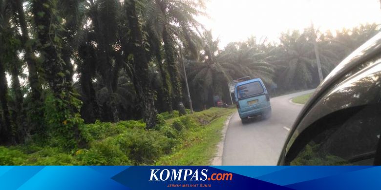 Begini Kondisi Jalur Mudik Riau Sumatera Utara Halaman All