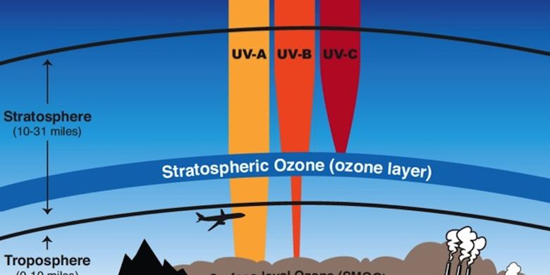 The Chapman Cycle: The Formation and Destruction of the Ozone Layer All